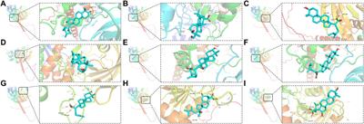 YinChen WuLing powder attenuates non-alcoholic steatohepatitis through the inhibition of the SHP2/PI3K/NLRP3 pathway